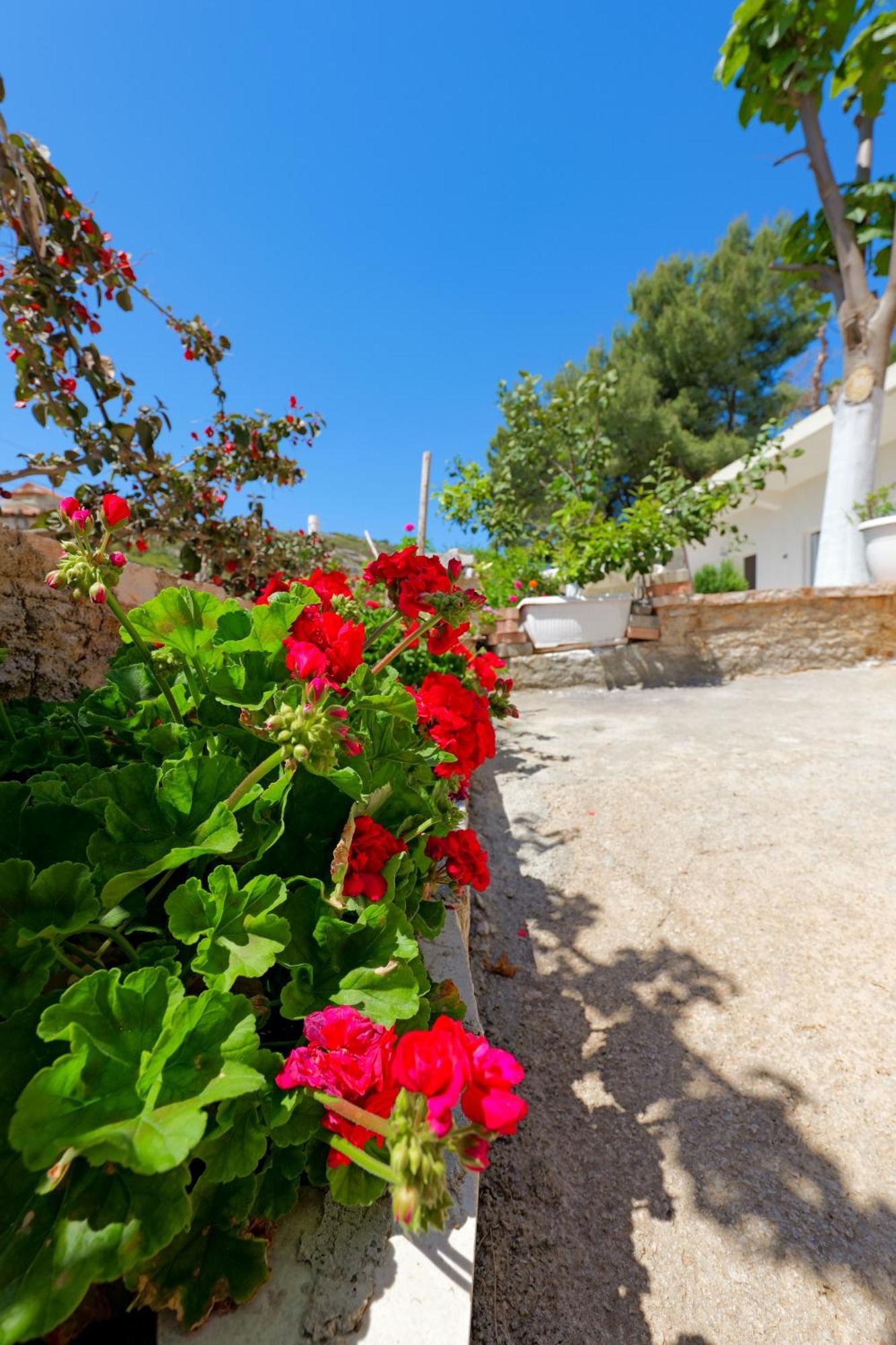 Flower Vila Sarandë Exteriör bild