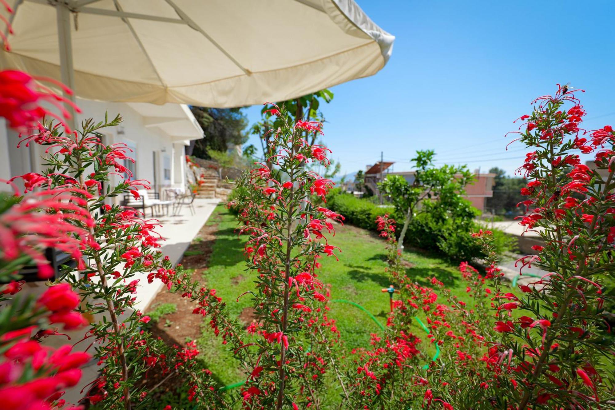 Flower Vila Sarandë Exteriör bild